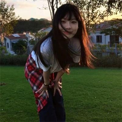 追鹰日记